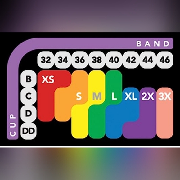 Bali Women's Comfort Revolution Multiway Straps Strapless Bra, Black, Large - Picture 11 of 11